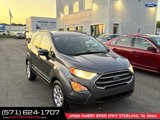 Used 2019 Ford EcoSport SE image 4