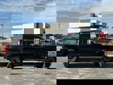 New 2025 Ford F250 Platinum image 4