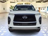 New 2025 INFINITI QX80 Pure image 2