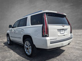 Used 2019 Cadillac Escalade Platinum image 6