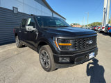New 2025 Ford F150 STX image 2