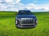 New 2025 Hyundai Palisade Calligraphy image 5