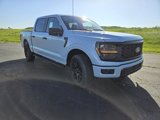New 2025 Ford F150 STX image 2