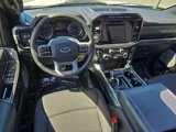 Certified 2021 Ford F150 XLT w/ Equipment Group 302A High image 2
