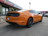 Used 2019 Ford Mustang Premium w/ Equipment Group 201A image 4