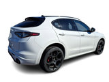 New 2025 Alfa Romeo Stelvio Tributo Italiano w/ Active Assist Plus Package image 4