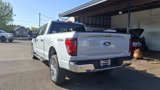 New 2025 Ford F150 XLT image 4