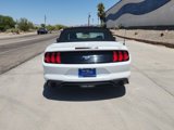 Certified 2019 Ford Mustang Premium image 6