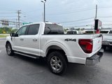 Used 2024 Ford F150 XLT image 5