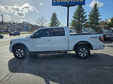Used 2013 Ford F150 FX4 w/ Luxury Equipment Group image 3