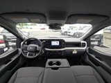 New 2025 Ford F250 XL image 2