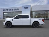 New 2025 Ford F150 XLT w/ Equipment Group 302A MID image 3