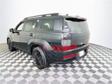 New 2025 Hyundai Santa Fe Calligraphy image 5