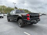 New 2025 Ford F250 Platinum image 5