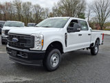 New 2025 Ford F250 XL image 3