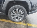 Certified 2024 Toyota RAV4 XLE Premium image 3