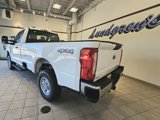 New 2025 Ford F250 XLT w/ Snow Plow Prep Package image 4