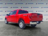 Used 2023 Ford F150 XLT image 3