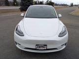 Used 2023 Tesla Model Y Long Range image 4