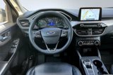 Certified 2022 Ford Escape SEL image 5