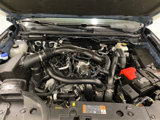 Used 2024 Ford Ranger Raptor image 4