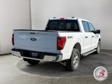 Used 2024 Ford F150 XLT w/ Equipment Group 302A MID image 4