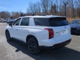 New 2025 Hyundai Palisade XRT image 5