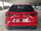 New 2025 Lexus NX 450h+ AWD w/ Luxury Package image 3