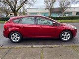 Used 2013 Ford Focus SE w/ SE Winter Pkg image 6