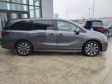 New 2025 Honda Odyssey Elite image 4