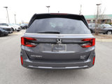 New 2025 Honda Odyssey Elite image 6