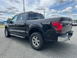 Used 2024 Ford F150 XLT image 4