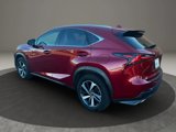 Used 2019 Lexus NX 300 F Sport image 6