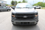 Used 2024 Ford F150 XLT w/ Equipment Group 302A MID image 2