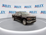 New 2025 Ford F150 XLT w/ Equipment Group 302A MID image 2