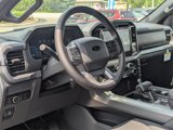 New 2025 Ford F150 XLT image 4