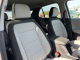 Used 2019 Chevrolet Equinox LT image 3