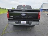 New 2024 Ford F150 XLT image 4