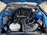 Used 2021 Ford Mustang GT w/ Equipment Group 301A image 2