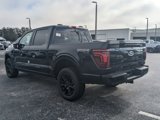 New 2025 Ford F150 Platinum image 4