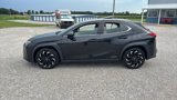 Used 2020 Lexus UX 250h w/ Premium Package image 6