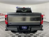 New 2025 Ford F250 Platinum image 4