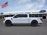 New 2025 Ford F150 XLT w/ Equipment Group 302A MID image 4