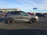New 2025 Ford Escape ST-Line Elite w/ Premium Technology Package image 4