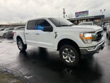 Used 2023 Ford F150 XLT w/ Equipment Group 301A Mid image 2