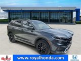 View Video