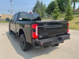 New 2025 Ford F250 Platinum image 2