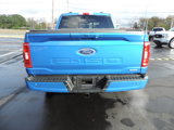 Used 2021 Ford F150 XLT w/ Equipment Group 302A High image 5