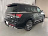 Used 2025 INFINITI QX80 Luxe image 6