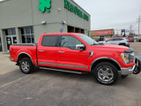 Used 2021 Ford F150 XLT w/ Equipment Group 302A High image 2
